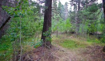 22954 Mt. Elbert Dr, Aguilar, CO 81020