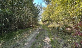 13 44 Ac Chestnut Ridge Rd, Allardt, TN 38504