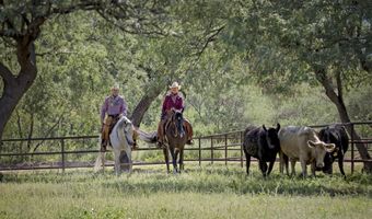 3155 W Elephant Head Rd, Amado, AZ 85645