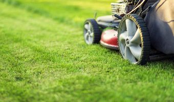 900 Swilken Bridge Rd Plan: Caroline, Aberdeen, MD 21001