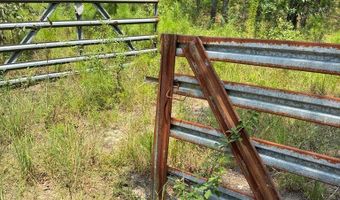 Luke Road lot 02, Ashburn, GA 31714