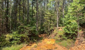 1555 Atbd CR 57 - Brooks Rd, Water Valley, MS 38965