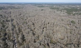 Bogue Chitto Road, Bogue Chitto, MS 39629