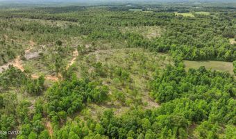 Wynn Road, Big Sandy, TN 38221