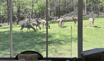 267 Back 9 Dr, Baneberry, TN 37890