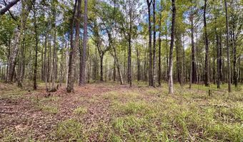 Eugene Ward Road, Adrian, GA 31002