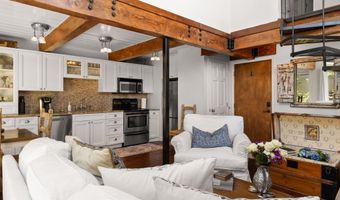 1024 E Cooper Ave 8, Aspen, CO 81611