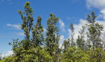 16-1660 39TH Ave, Keaau, HI 96749