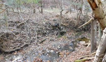 290 Angels Pass Dr Lot 1, Bastian, VA 24314