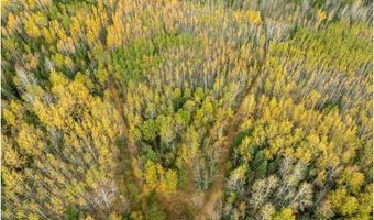 Xxx Highway 11, International Falls, MN 56649