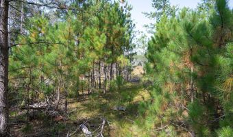 Lot 11 W 16th Court, Arkdale, WI 54613
