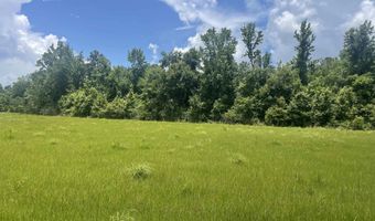 15660 Louis Cooper Rd, Bay Minette, AL 36507