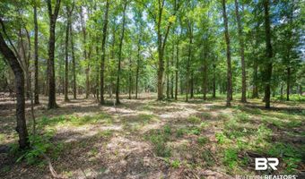 County Road 86, Bay Minette, AL 36507