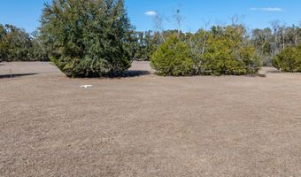 County Road 236 lot 5, Bell, FL 32619