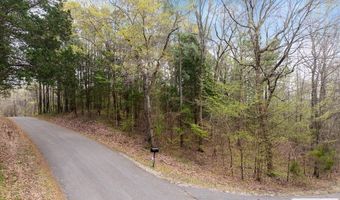 Branch Loop Rd, Big Sandy, TN 38221
