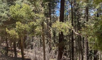 Lot 823 San Felipe Circle, Angel Fire, NM 87710