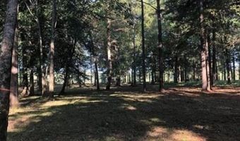 13 Cypress Point Dr, Akron, AL 35441