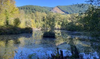 2 E Brightwood Loop Rd, Brightwood, OR 97011