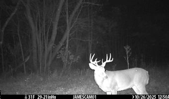 0 W Captina Highway Rd, Alledonia, OH 43902