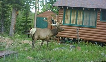 84 County Road 113 S, Allenspark, CO 80510