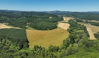 10090 HIGHWAY 202, Birkenfeld, OR 97016