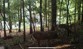 1451 Highway 140 NW, Adairsville, GA 30103