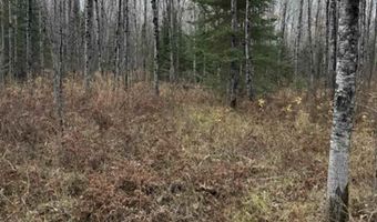 TBD Lane 55 County Road 341, Aurora, MN 55705
