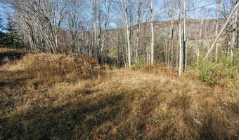 1361 Weaver Hollow Rd, Andes, NY 13731