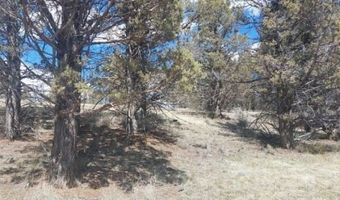 Lot 35 Blk 24 MRE Tiger Lane, Alturas, CA 96101