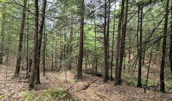 Stewart Road, Addison, NY 14801