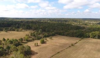 County Road 113, Alton, MO 65606