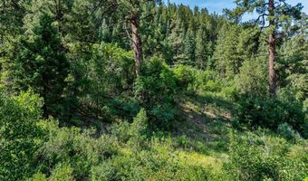 554 Pine Spring Dr, Bayfield, CO 81122