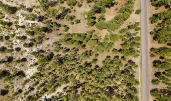 98 County Road 2266, Alpine, AZ 85920