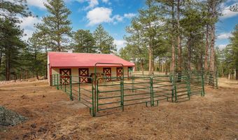 440 La Hermosa Dr, Bellvue, CO 80512