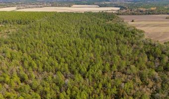 N bob brooks road, Baker, FL 32531