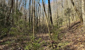 Lot 7 Valley View Heights Lane, Andrews, NC 28901