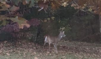 1408 Coleman Mountain Rd, Appomattox, VA 24522