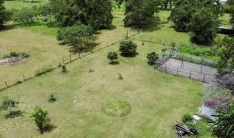 9150 SW 151ST Ln, Archer, FL 32618