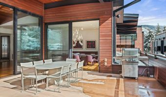 233 E Cooper Ave 301, Aspen, CO 81611