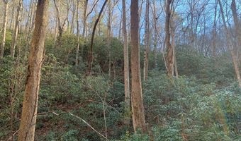 Lot 2 Calvin Cove 2, Almond, NC 28702