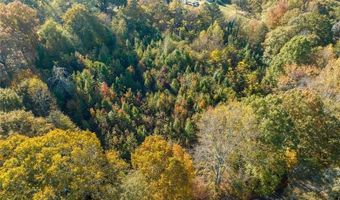 286 Lowry St, Ball Ground, GA 30107