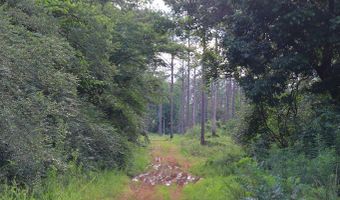 Hwy 9, Bruce, MS 38915