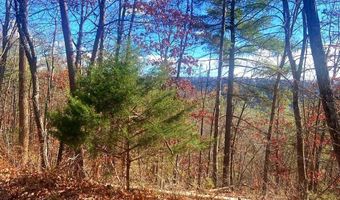 SPITZ Lane, Basye, VA 22810