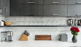 450 S Original St 8, Aspen, CO 81611