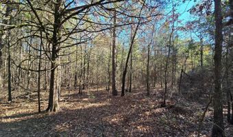 TBD Raw Land, Bates, AR 74953