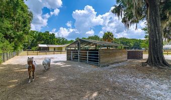 13300 NE 38TH Ave, Anthony, FL 32617
