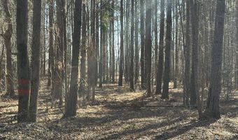 Lot 37 PETERSBURG Trace, Lincolnton, GA 30817