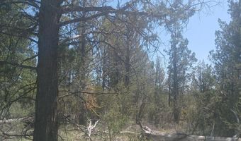 Toddy Drive Lots 18,19,&20, Beatty, OR 97621
