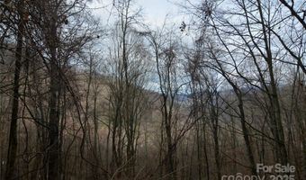 Jacks Knob Road, Barnardsville, NC 28709