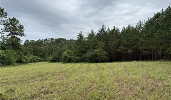 154 County Road 38 Acres, Banks, AL 36005